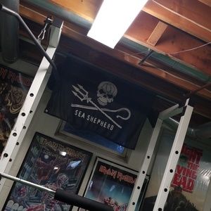 Meet your Posher, Sue